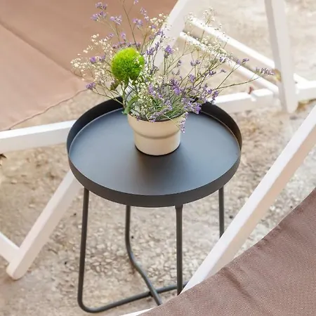 Apartment Bright & Spacious With Orange Tree Patio, By Timecooler